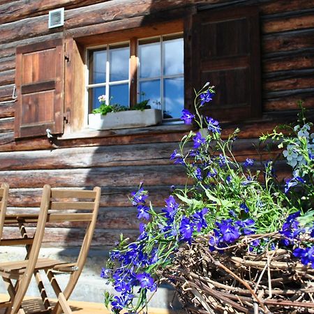 Apartmán Hof Surri Schiers Exteriér fotografie