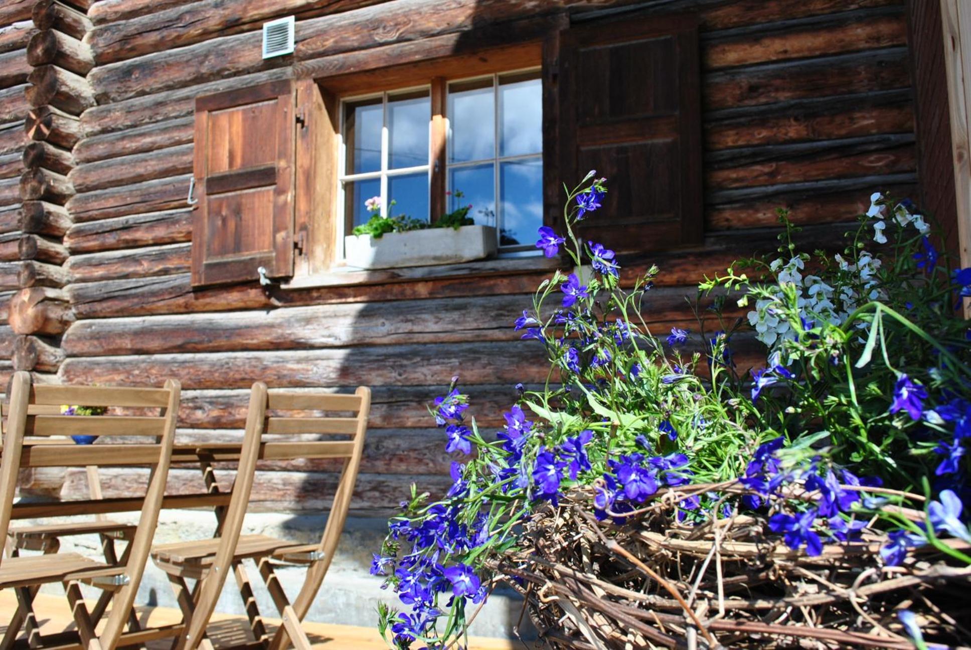 Apartmán Hof Surri Schiers Exteriér fotografie